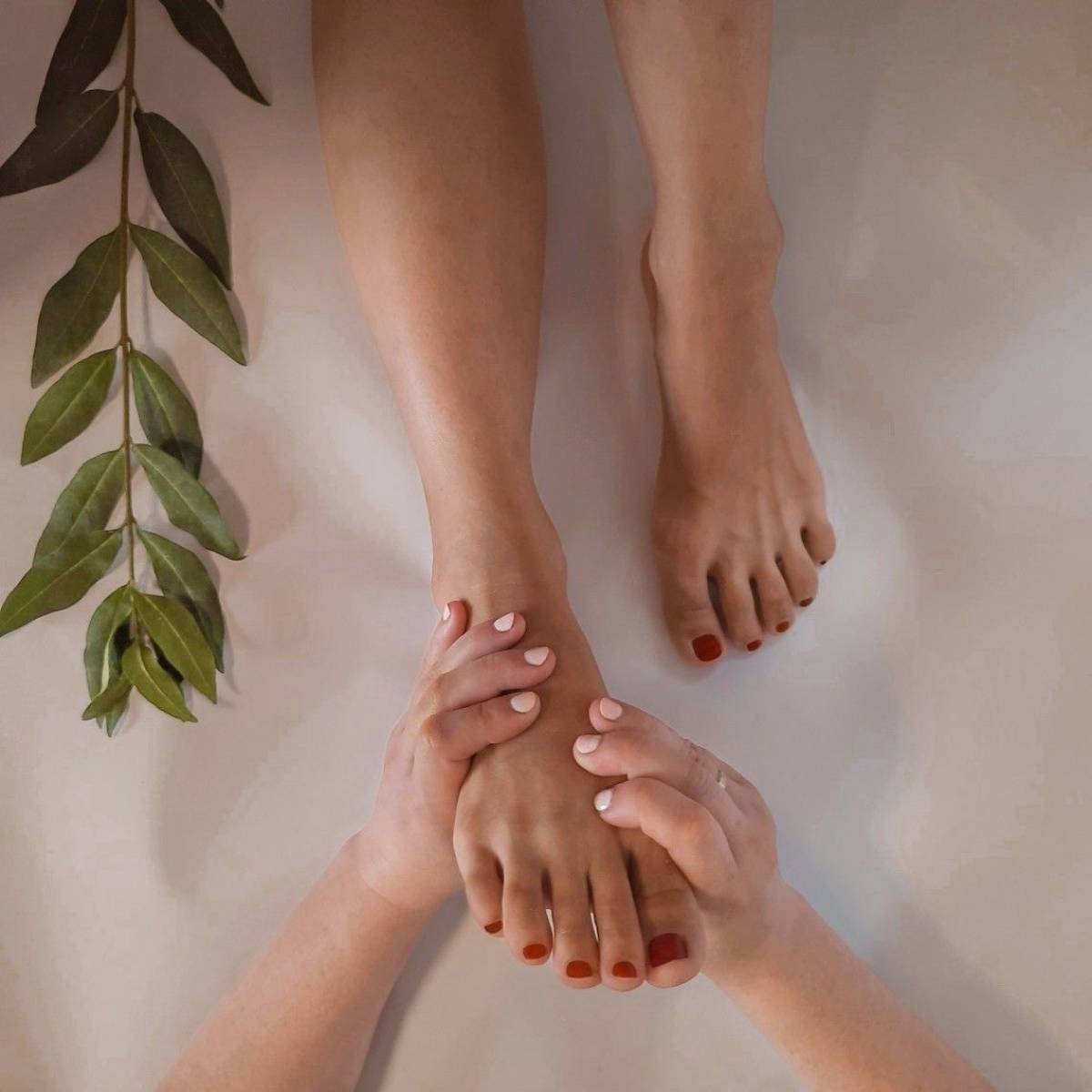 RÉFLEXOLOGIE PLANTAIRE THAÏLANDAISE